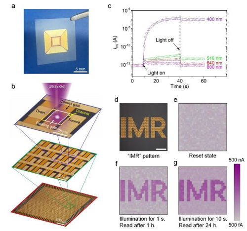 中科院金属所突破 碳纳米管光电传感存储一体化器件问世
